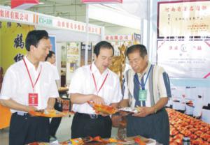 原安陽市市長董永安、副市長陳明今到公司調(diào)研
